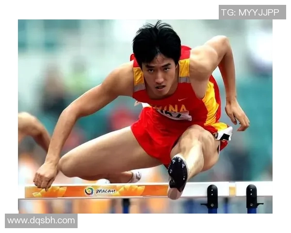 足球明星们如何看待刘翔的成就与影响力解析