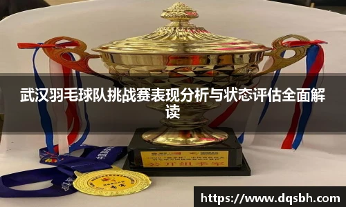 武汉羽毛球队挑战赛表现分析与状态评估全面解读